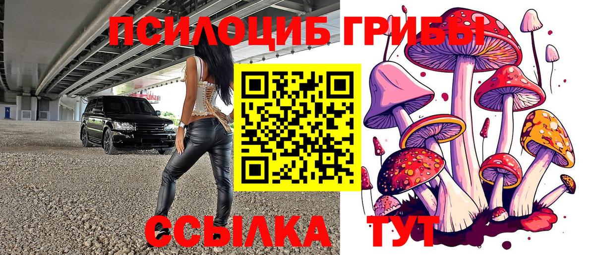 Мелеуз  Псилоцибиновые грибы мицелий  Вход с VPN 